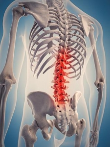 3d rendered, medically accurate 3d illustration of the highlighted spine